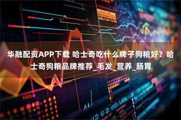 华融配资APP下载 哈士奇吃什么牌子狗粮好?哈士奇狗粮品牌推荐_毛发_营养_肠胃