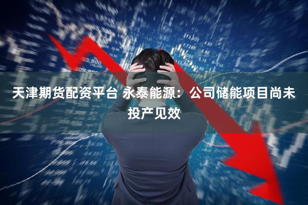 天津期货配资平台 永泰能源：公司储能项目尚未投产见效